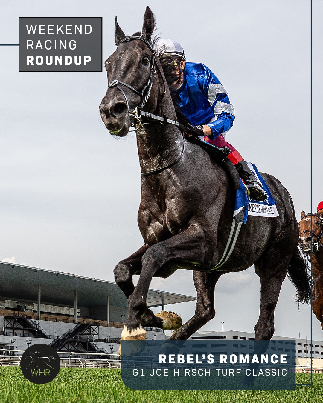 World Horse Racing on X: 