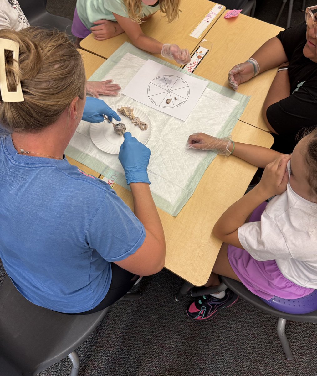 Centennial El. tweet media