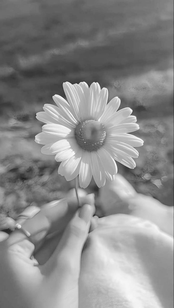 2roro_'s tweet image. وانا دربي هواگ أنته 
ولا قصدي سواگ أنته 

ونار الشوق 
تنادي لگ    . . . اجب