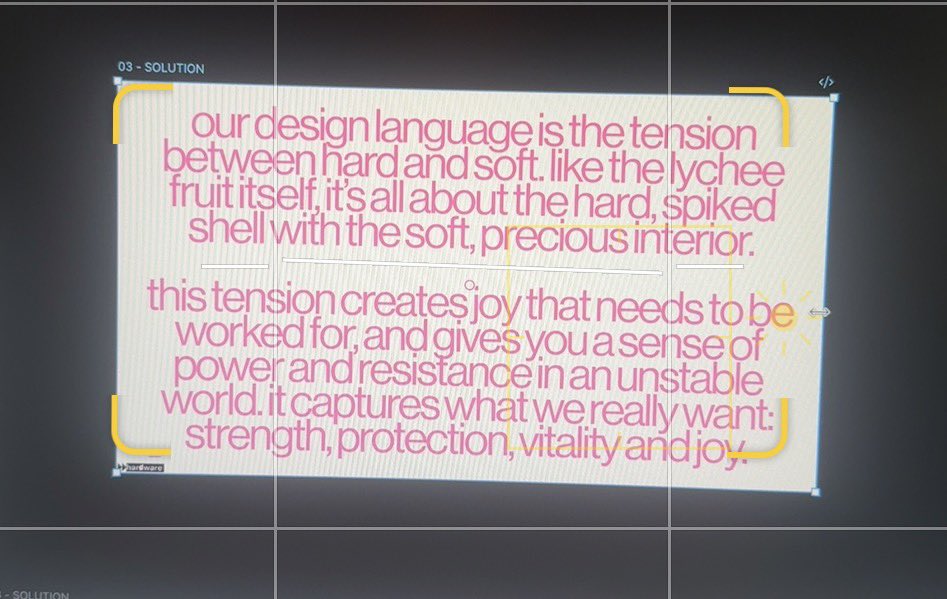 lychee fruits in your hand