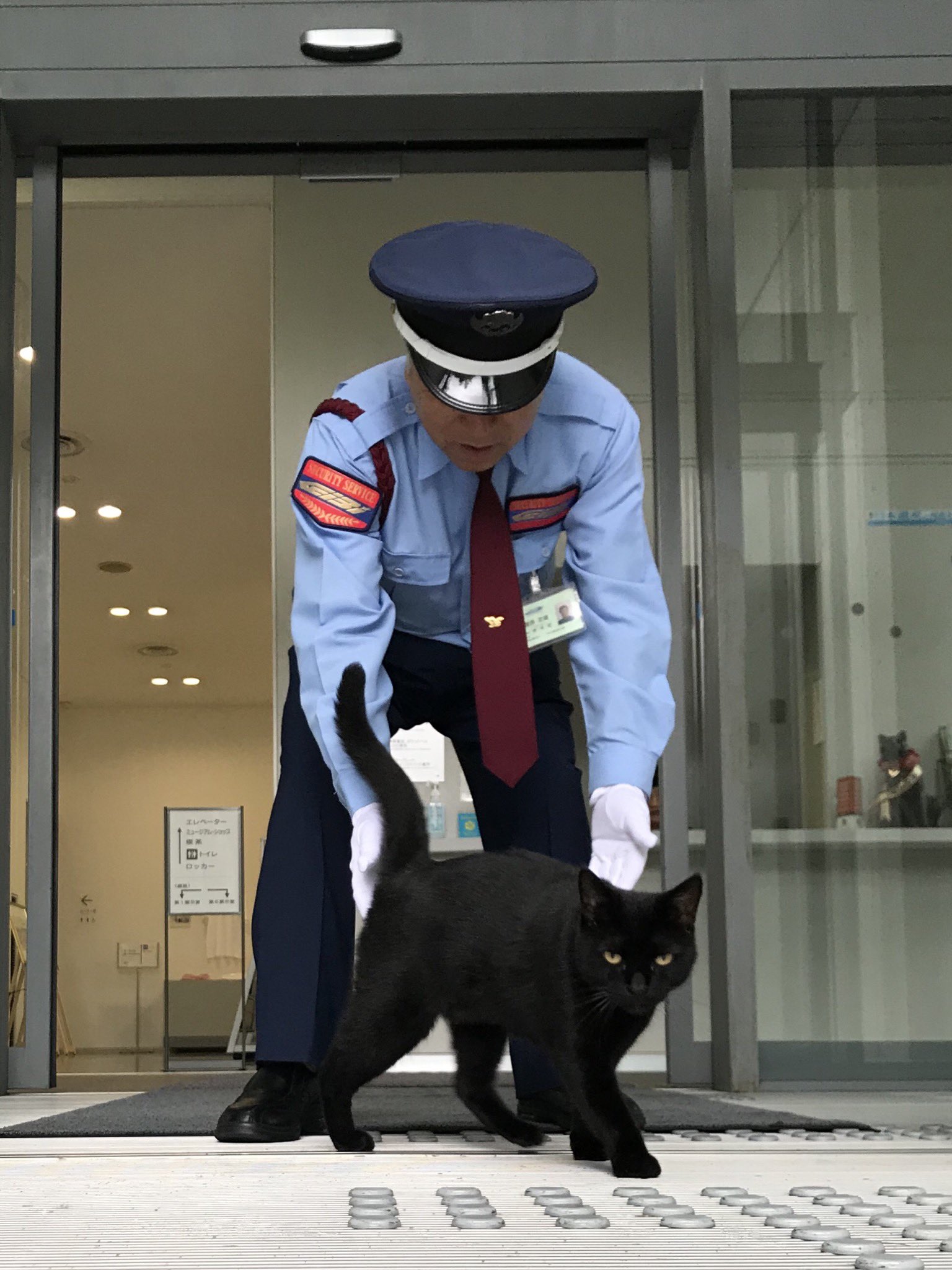 尾道市立美術館 on X: 