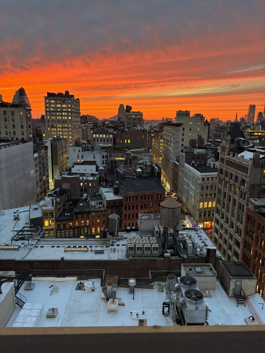 Max Segall tweet media