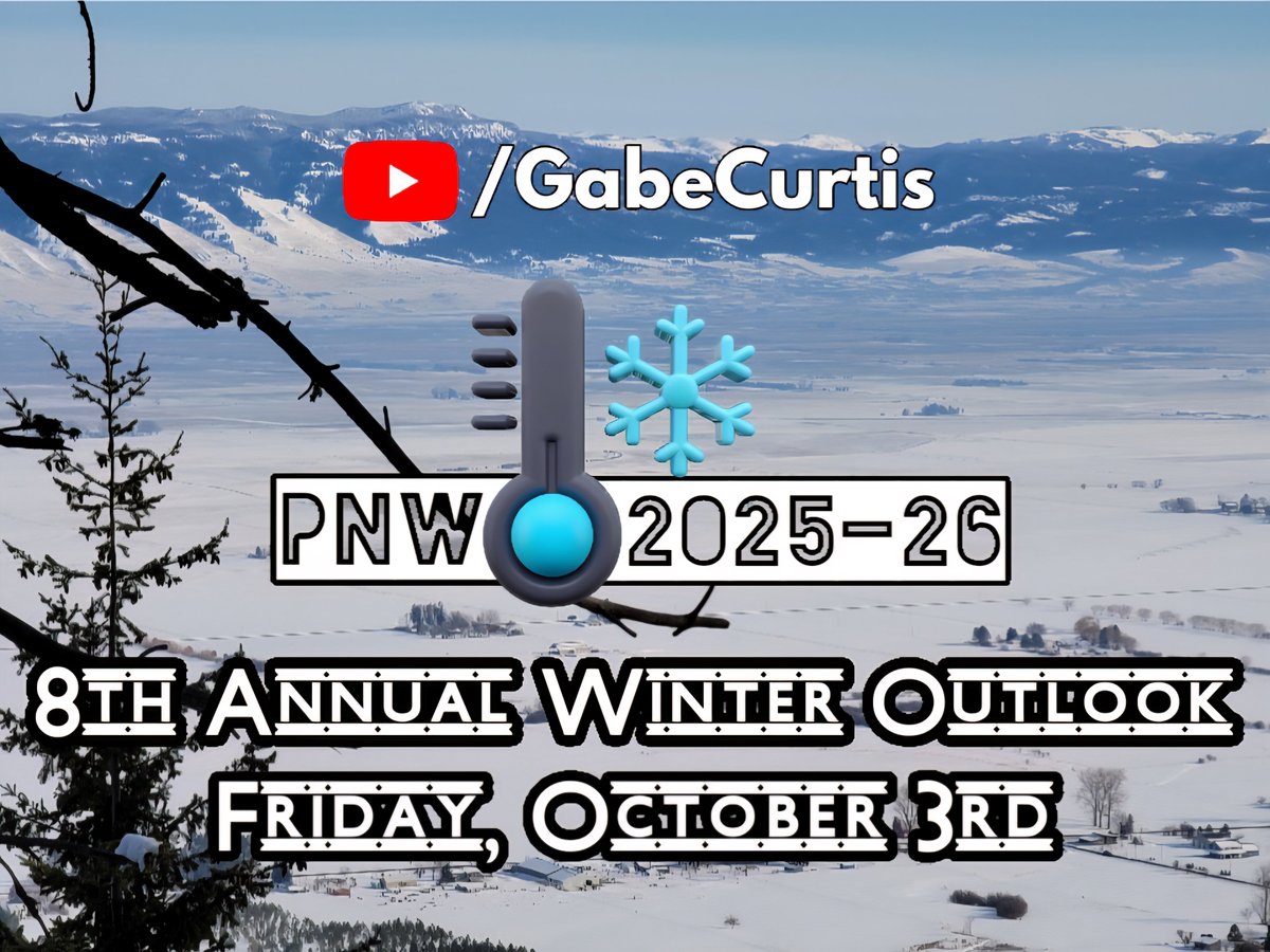 Gabe Curtis tweet media