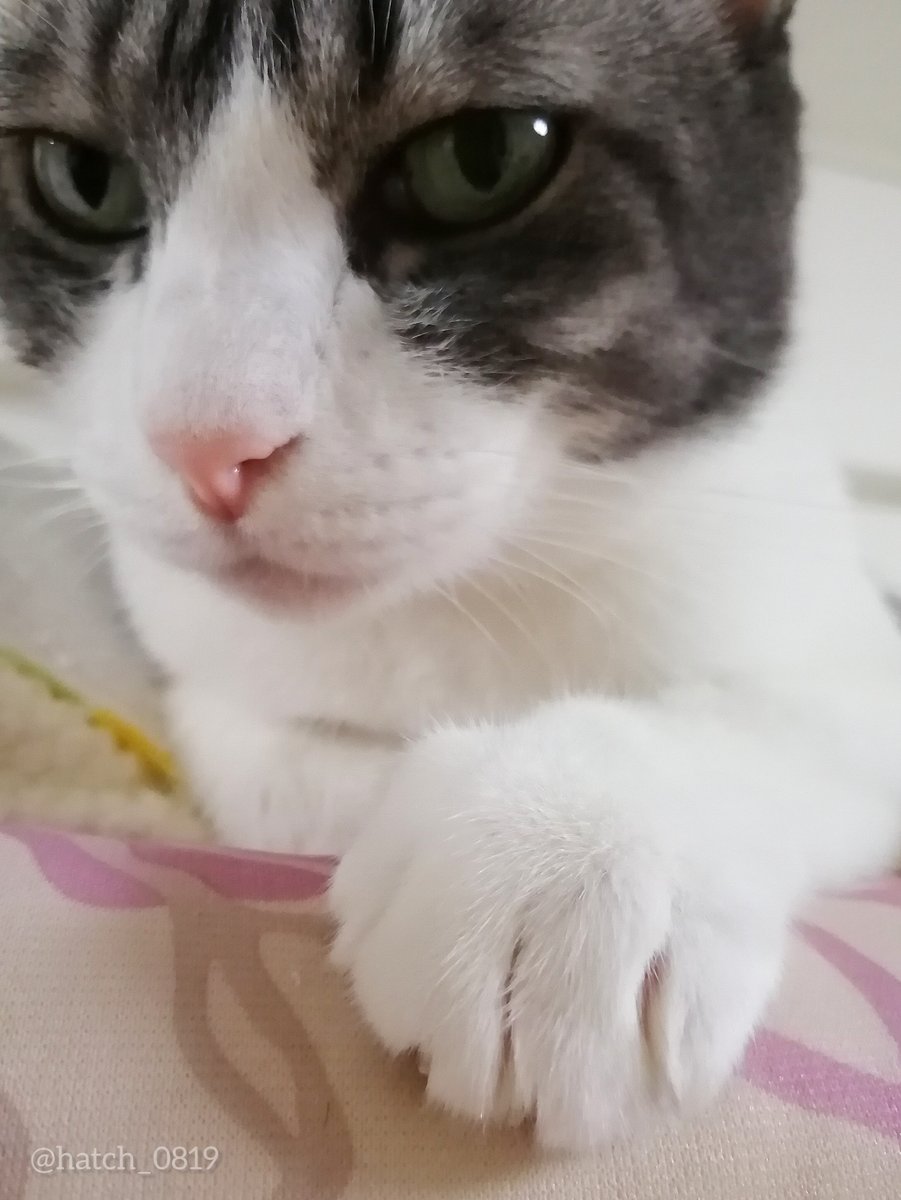 ハッチ様•*¨*•.¸♬︎ TEAC #X1000R