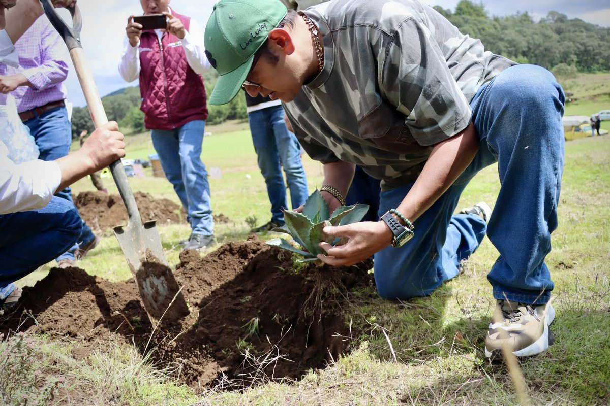 MariaLuisa_MX's tweet photo. 🌿💧 En #Morelos acompañamos el cierre de la temporada de Restauración Hidrológica–Forestal.
Gracias a mi amigo Pdte. Municipal Edgar Plaza Barrera y a #PROBOSQUE por su compromiso con el medio ambiente. 🌳💚

#RaícesConValor #PorUnMéxicoVerde💚 https://t.co/tDiUeojTrD