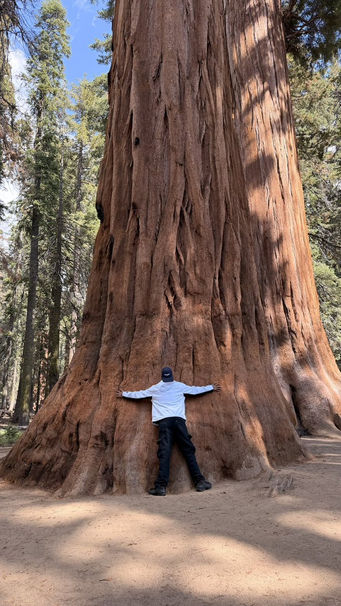 Parikrama of the sequoia gods
Praying for the scared future, iykyk