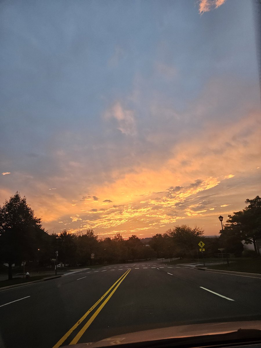 🇯🇵 cheese 瞑想 tweet media