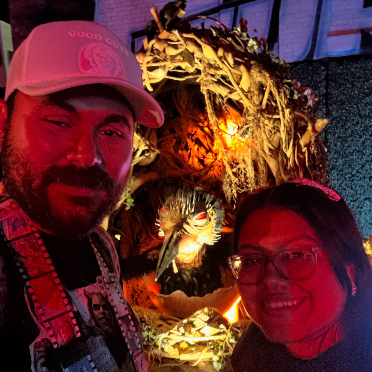 theroyalweirdos's tweet image. There a a murderous baby crow that will kill you with its cuteness
•
#hhn #murderofcrows #crow #babycrow #spooky #halloween #horror #universalstudioshollywood #spookyseason