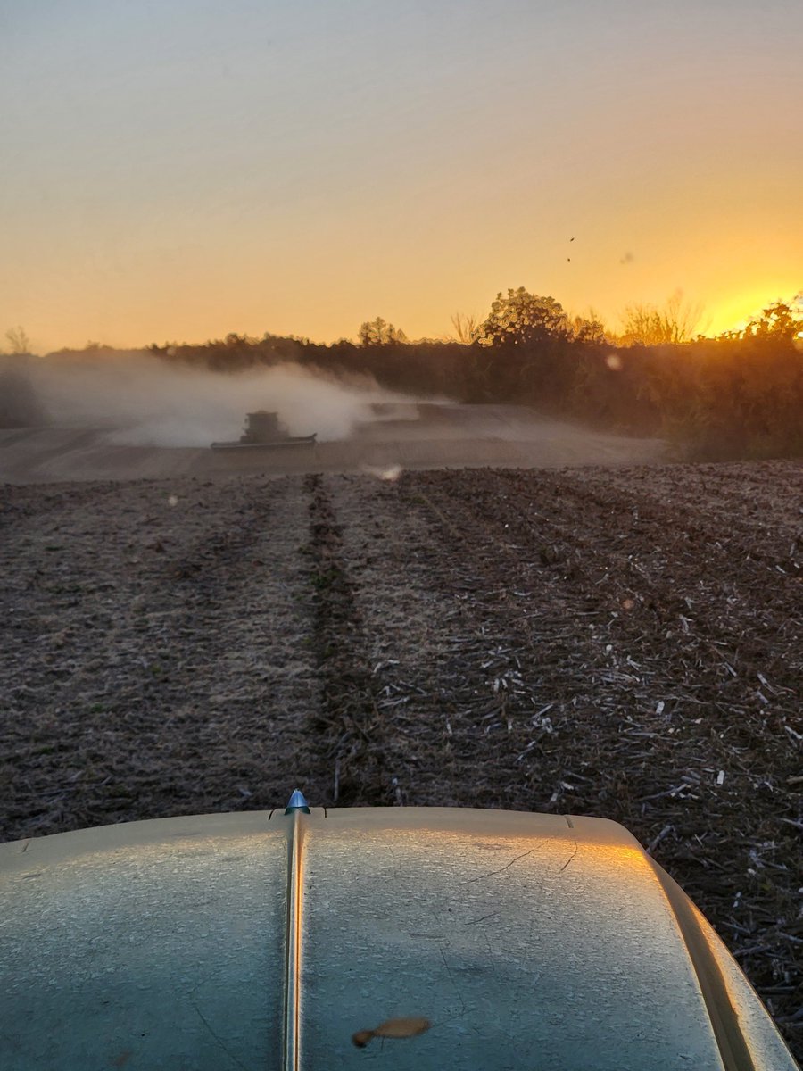 Great weather for #harvest25 and #plant26