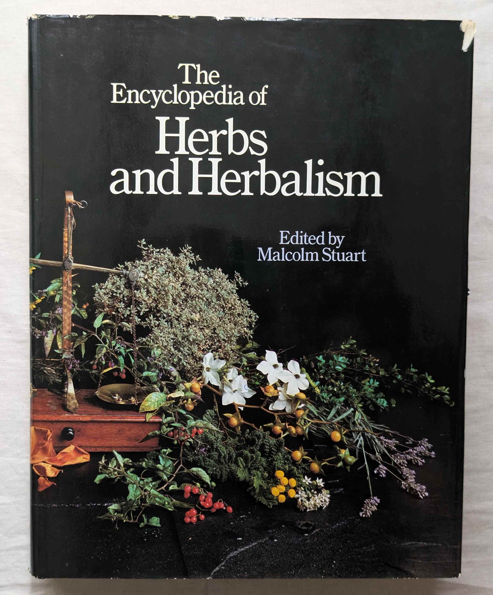 世界薬用植物百科事典 世界薬用植物百科事典 世界薬用植物百科事典(アンドリュー
