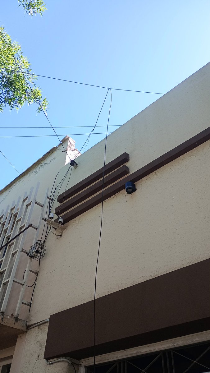 julidelfavero's tweet photo. Así me dejaron la vereda y el cableado de toda la cuadra los municipales que vinieron a podar el arbolado público.

Quien me paga el arreglo ? Es una vergüenza. 

@ciudaddemendoza 
@UlpianoSuarez 
@MATIPASCUALETTI 
@Canal9Televida https://t.co/sQ3W2hyuH4