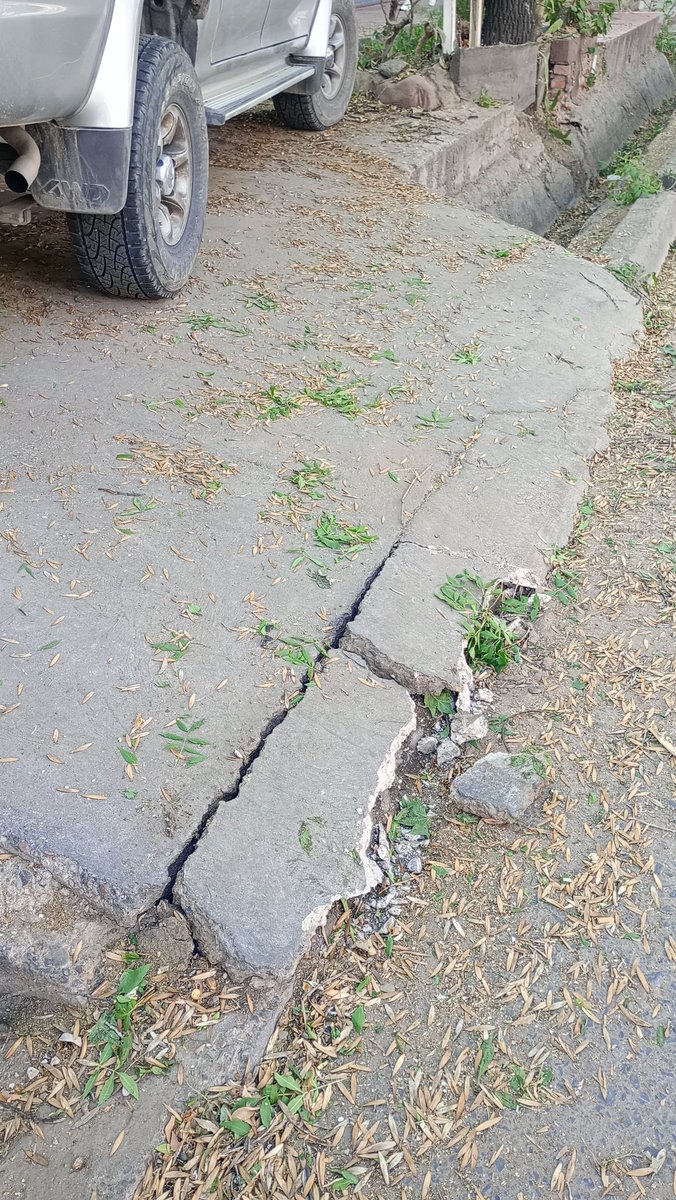julidelfavero's tweet photo. Así me dejaron la vereda y el cableado de toda la cuadra los municipales que vinieron a podar el arbolado público.

Quien me paga el arreglo ? Es una vergüenza. 

@ciudaddemendoza 
@UlpianoSuarez 
@MATIPASCUALETTI 
@Canal9Televida https://t.co/sQ3W2hyuH4