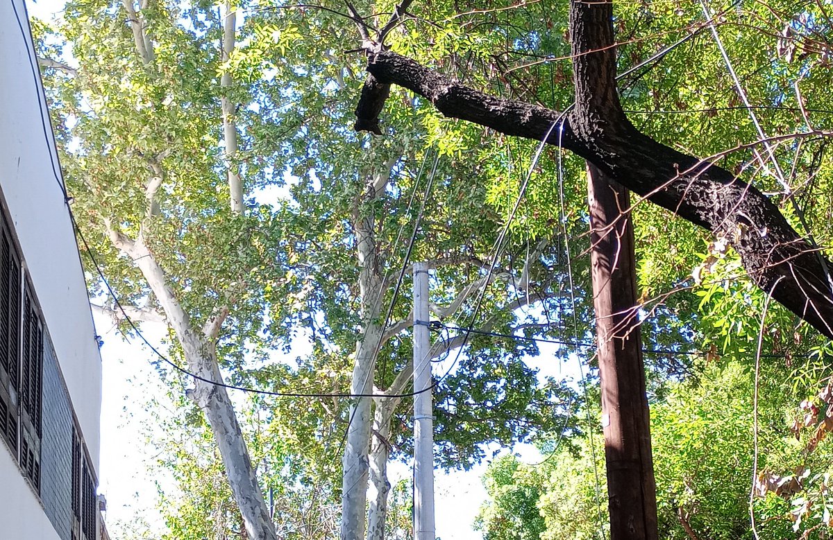 Así me dejaron la vereda y el cableado de toda la cuadra los municipales que vinieron a podar el arbolado público.

Quien me paga el arreglo ? Es una vergüenza. 

<a href="/ciudaddemendoza/">Ciudad de Mendoza</a> 
<a href="/UlpianoSuarez/">Ulpiano Suarez</a> 
<a href="/MATIPASCUALETTI/">Matias Pascualetti</a> 
<a href="/Canal9Televida/">Canal 9 Televida</a>