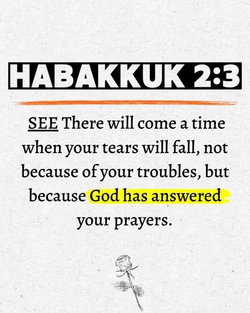 Holy Bible tweet media