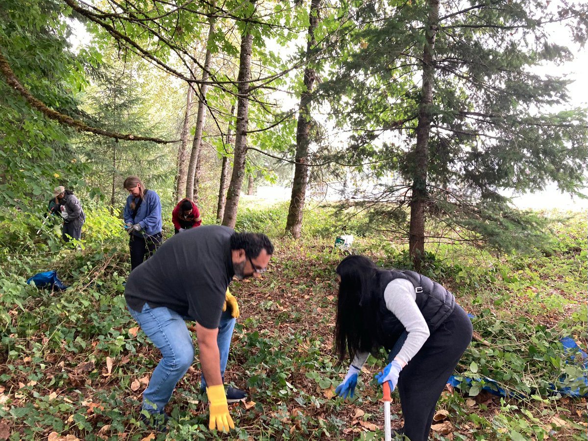 A big thank you to QMC staff for their incredible ivy pull at Gates Park last week!