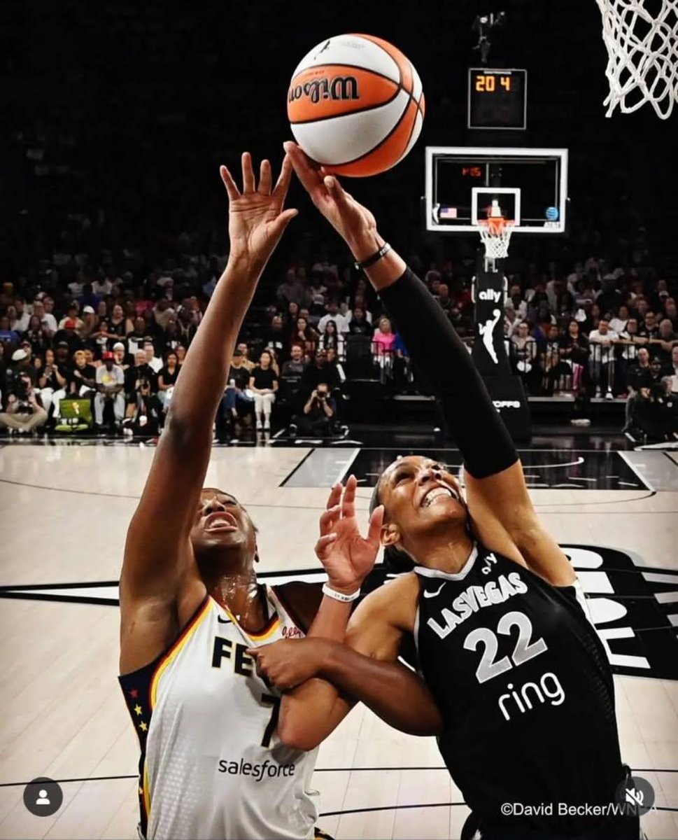 Angela S. Webb tweet media