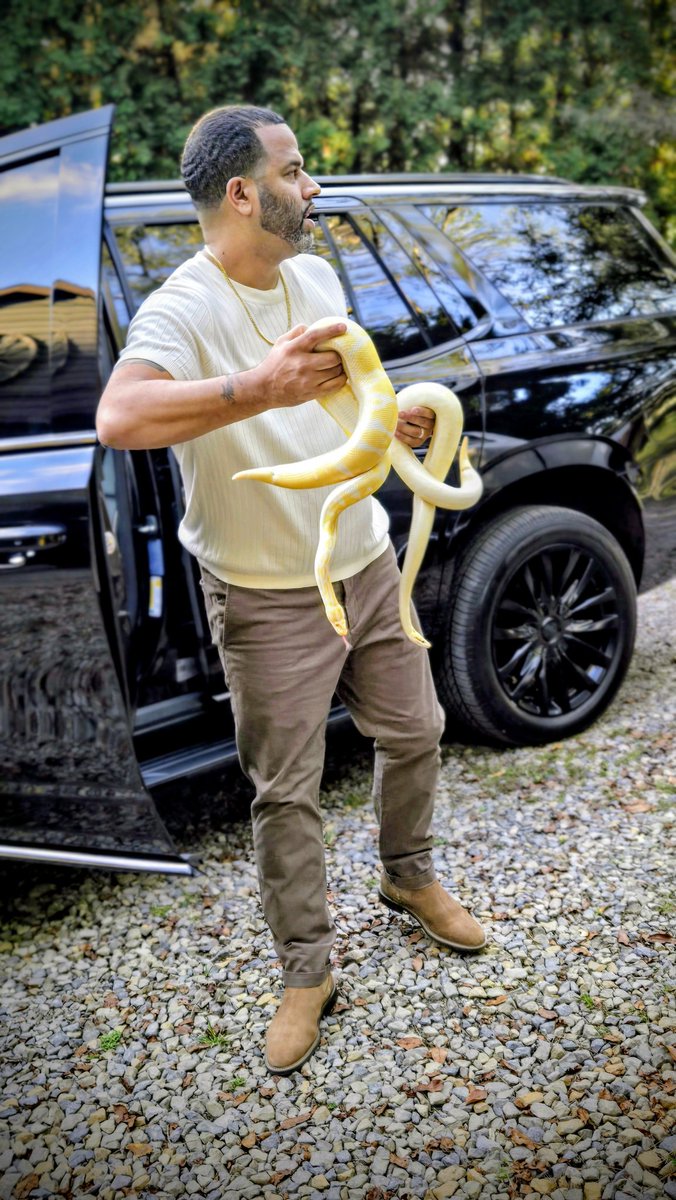 When you purchase the snake, you also purchase the quality of the breeder.  Choose Wisely

Python Talk

<a href="/champpythons/">Champion Pythons</a>