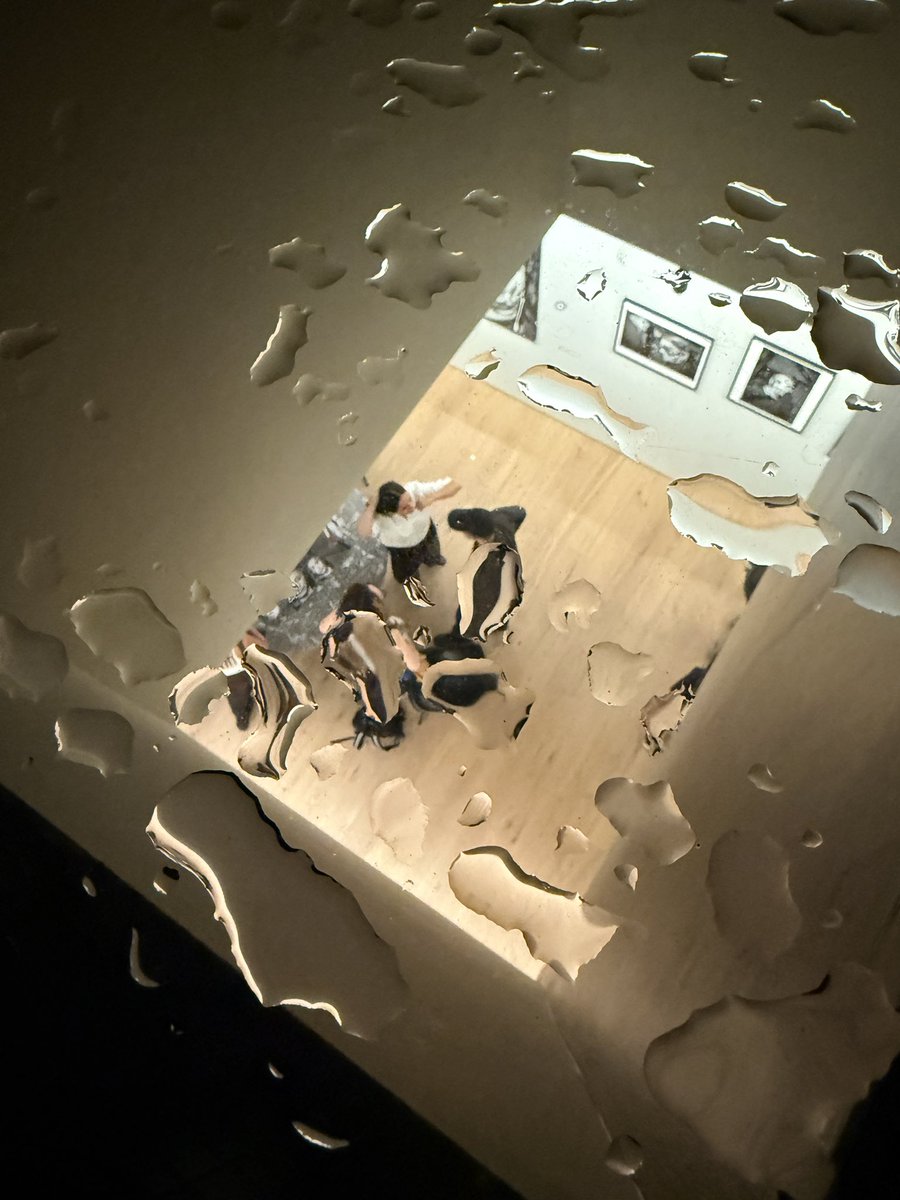 I Dont Shoot Weddings tweet media