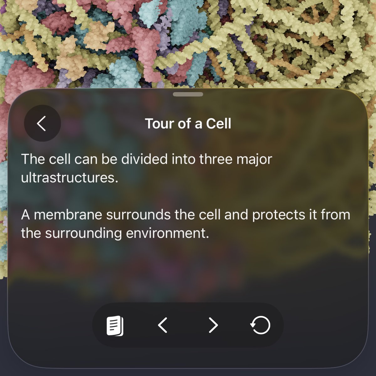 CellWalk tweet media