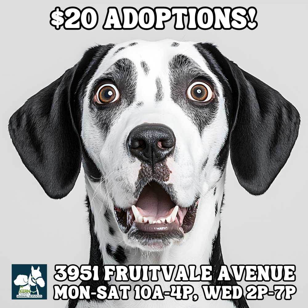 $20 Adoptions through November 1st!

* Adoption fees always include Spay/neuter, Microchip, Vaccinations, and License at no additional cost!