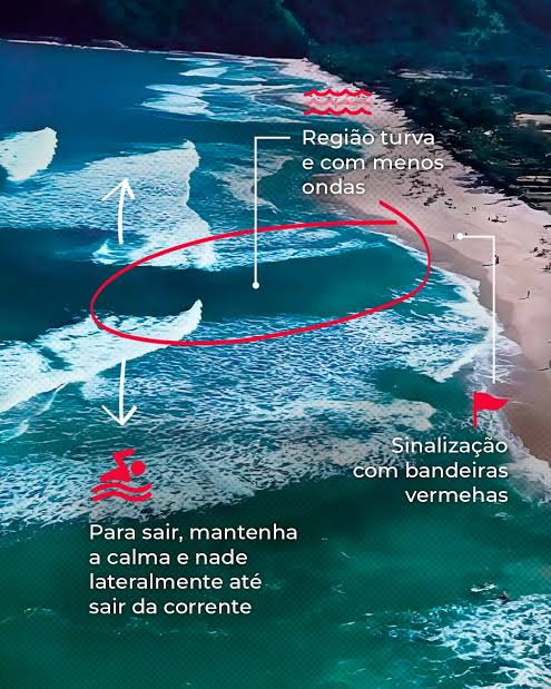 SZarbietti's tweet photo. @odaradeverdade https://t.co/AZHcrQHDqW