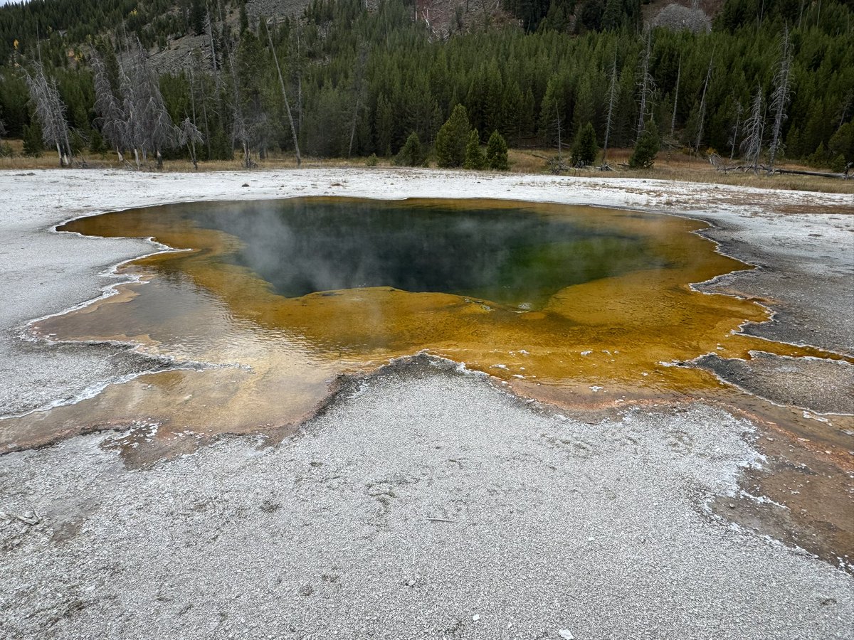 MappingThePath's tweet image. Fountain Paint Pot Trail and Black Sand Basin this morning at @YellowstoneNPS  #travel