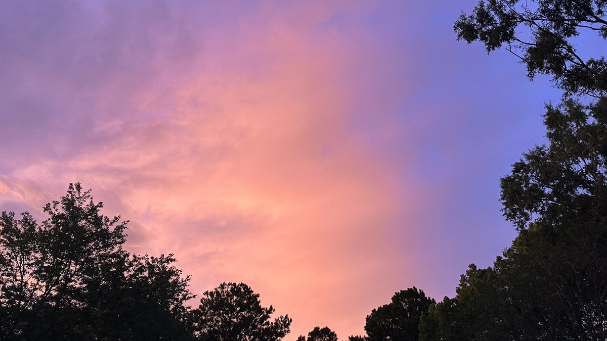 Tim Renaud tweet media