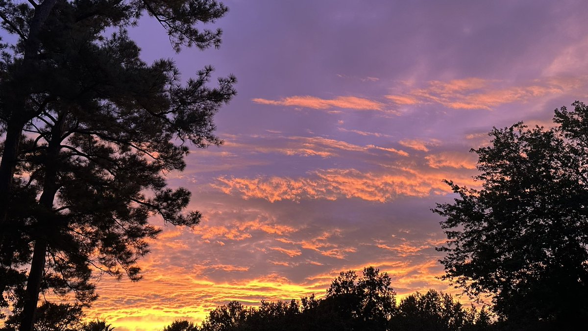 Tim Renaud tweet media