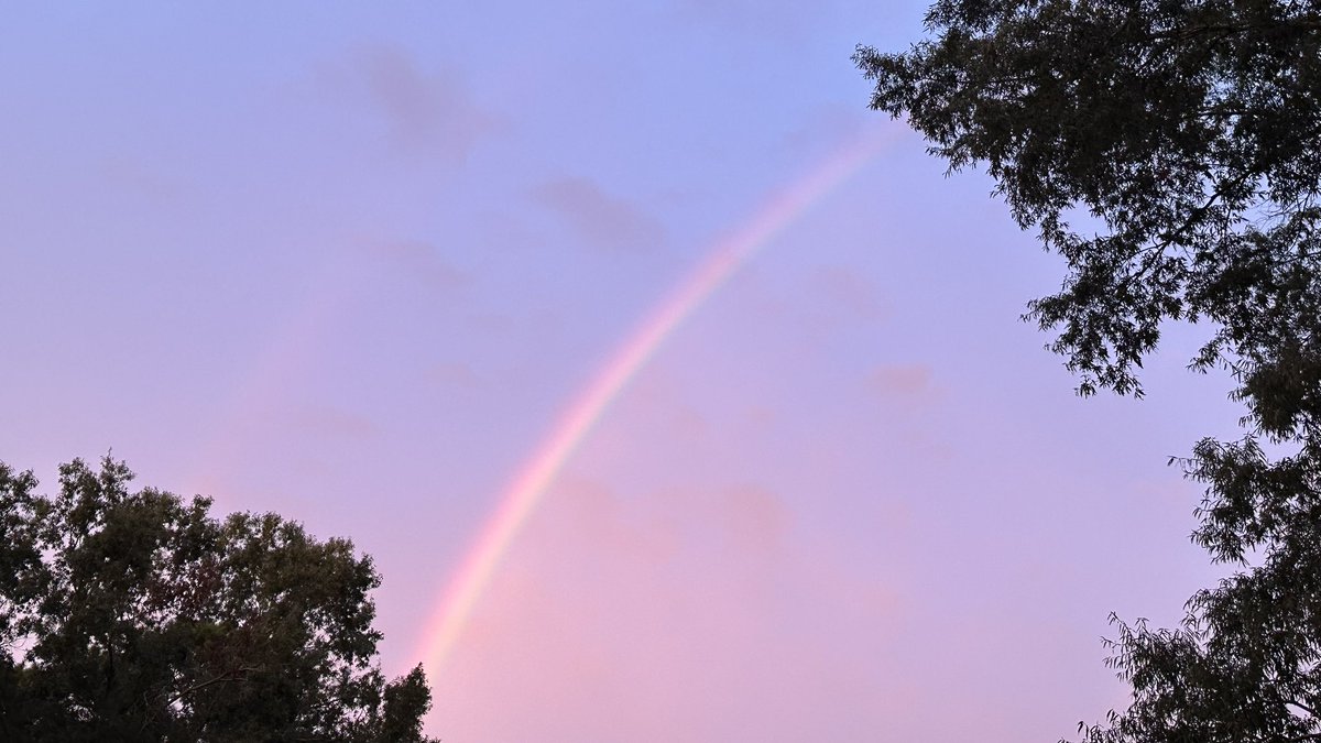 Tim Renaud tweet media