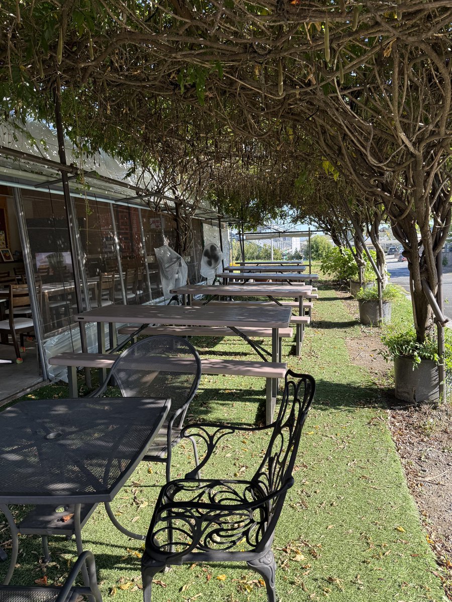 ワンコイン500円モーニング
毎日
15時30までOKです。

#フルーツたっぷり
#モーニングセット
#農園カフェ
#ワンコイン500円
#多度グリーンファーム