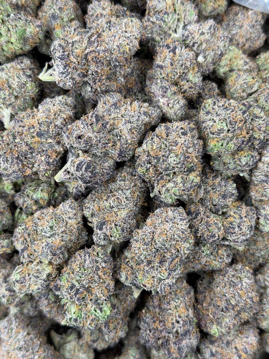 kushhbaby713's tweet photo. Houston I got top shelf weed on deck 
Midtown Houston 
 cashapp X delivery

7/65$ 
14/125$
 28/180$
QPS/500$
 
#houstontexas #downtownhouston #weed #texas #houstonza #houstonzaza #houstonplug #plug #houstonmeets #houstonmeetups #midtown #montrose #medicalcenter #Galleria https://t.co/AzWa3Uo9LY