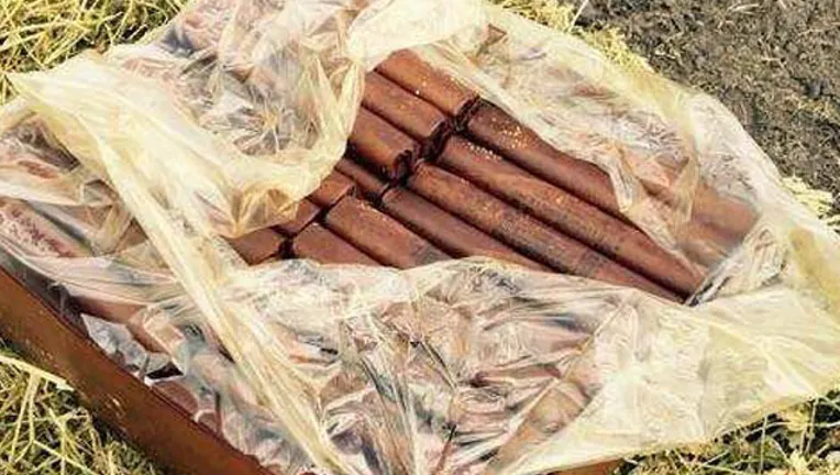 Current situation in America... looking sweaty.. 
Real Sweaty. Handle with Caution.