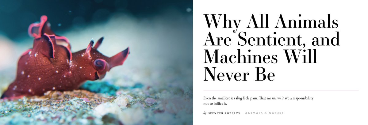 NathanJRobinson's tweet image. all animals are sentient and machines will never be
currentaffairs.org/news/why-all-a…