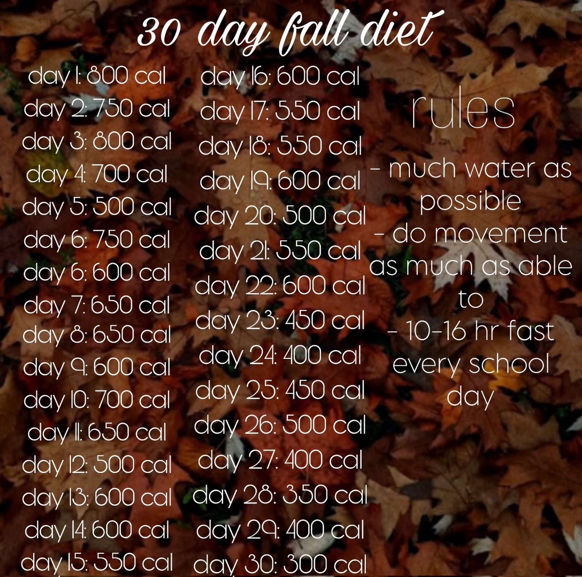 liuserrr's tweet photo. i lied i’m gonna do this one https://t.co/gYzdwRg8bq