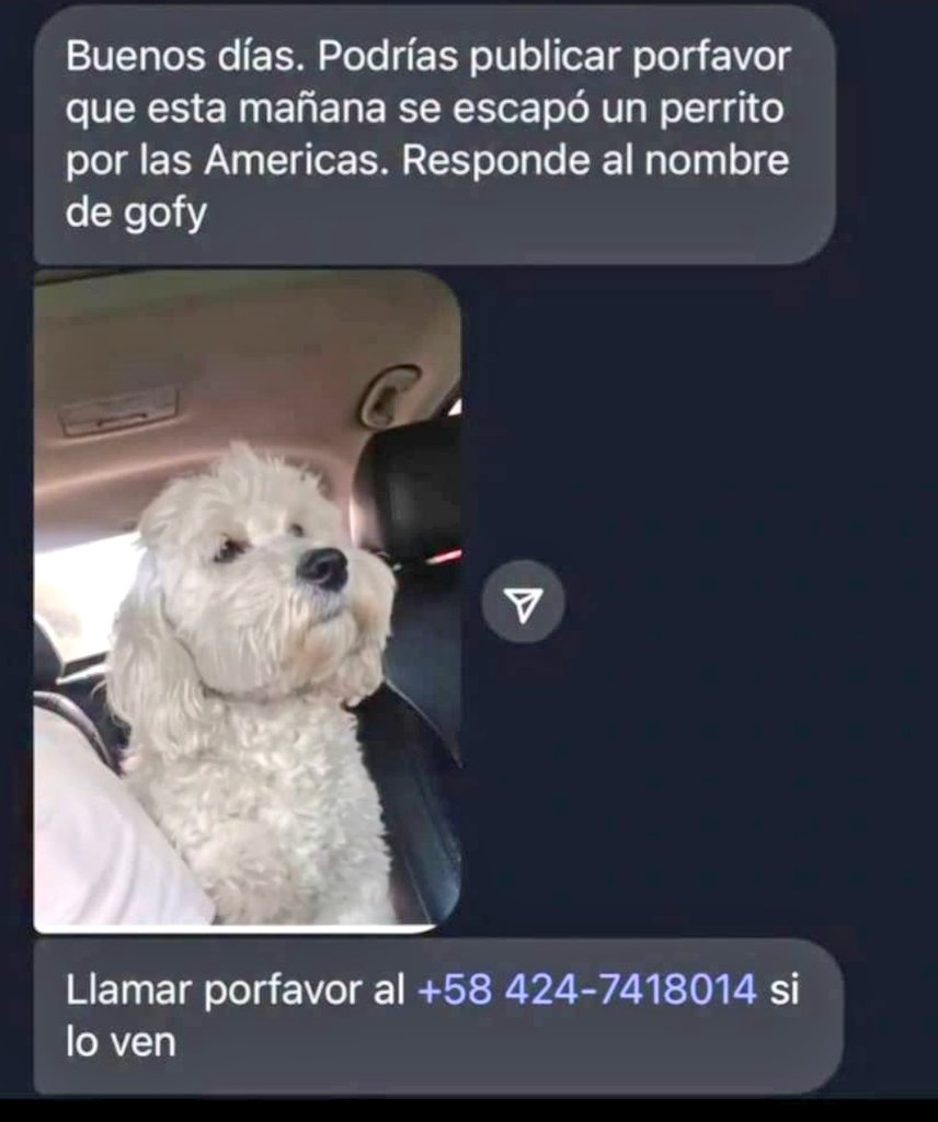 🚨Atención #Mérida Vzla..
Se busca a este amiguito perruno. 
Pendiente mi gente de Las Américas y zonas adyacentes. 🆘🆘🆘

Gracias a todos por difundir..

<a href="/PerroUsuario/">PerroUsuario Wof '•'</a>