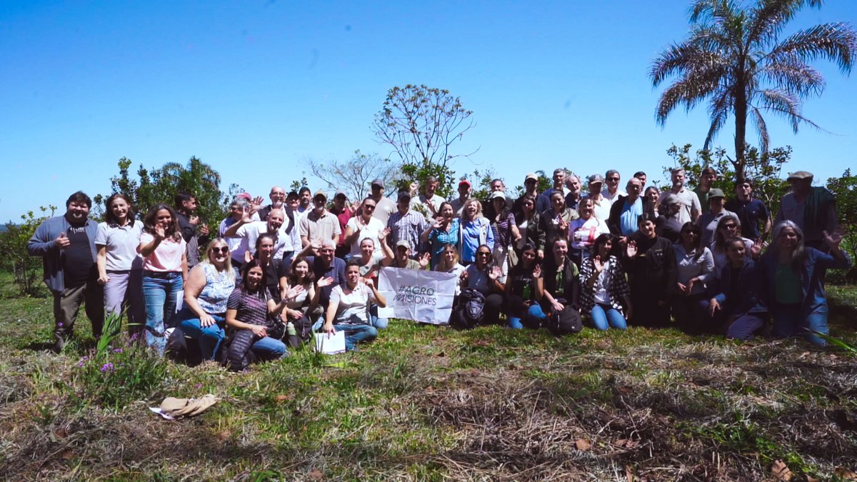 Jorge Kurrle tweet media