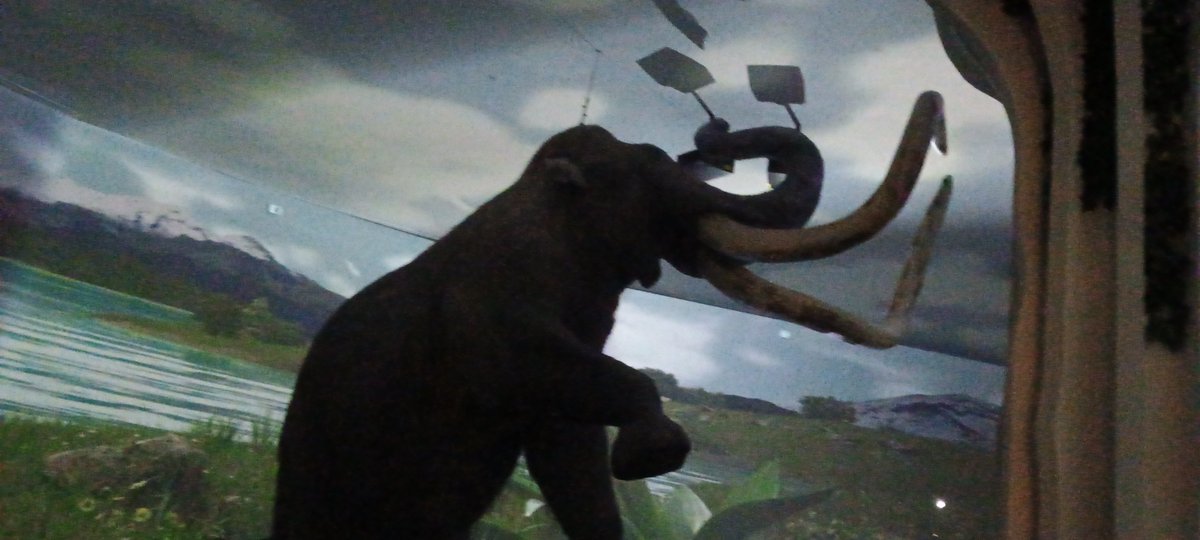 Rodada a la Orilla del Lago tweet media