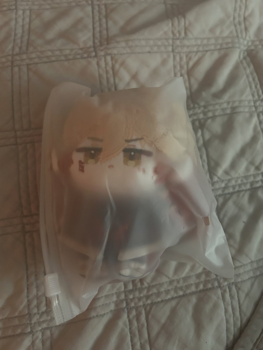 volkovchan's tweet image. mydei labubu is home… #sundei