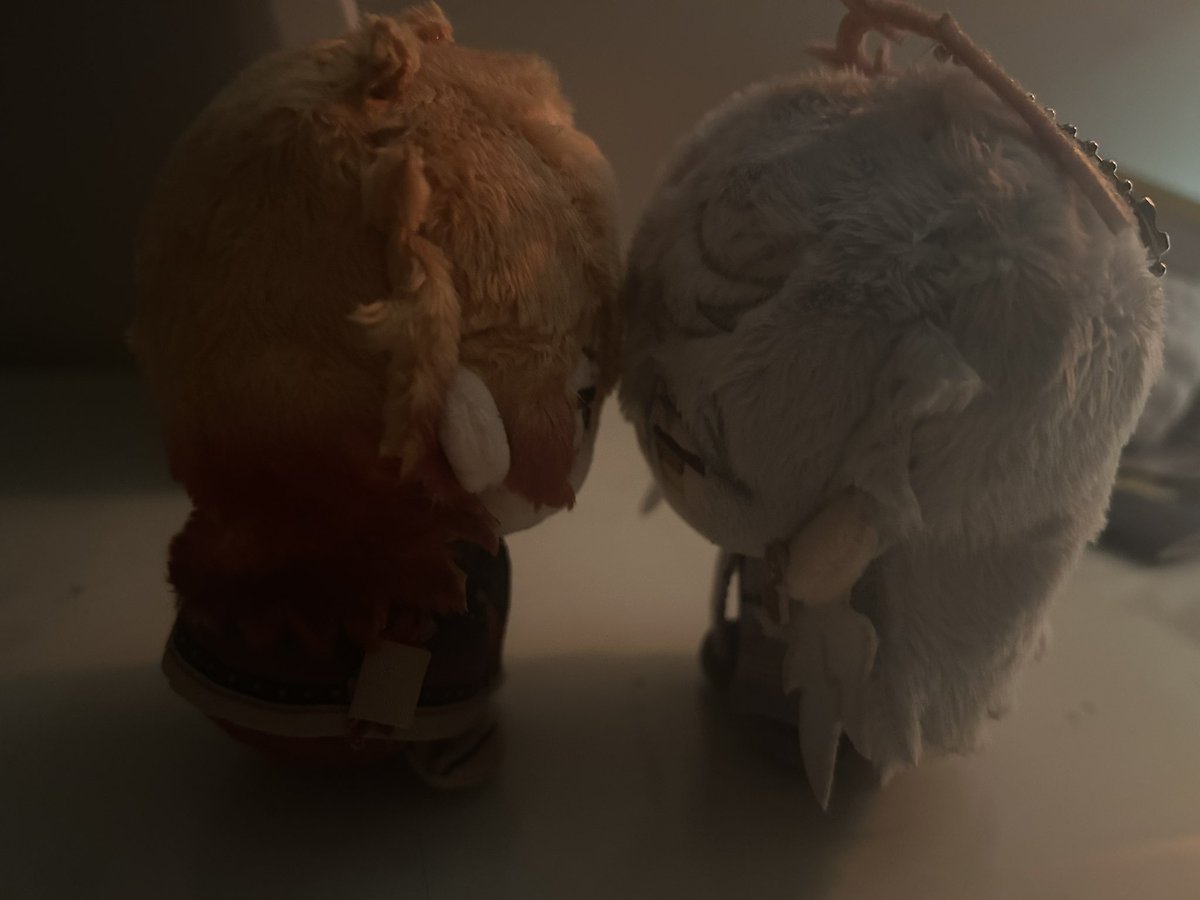 volkovchan's tweet image. mydei labubu is home… #sundei