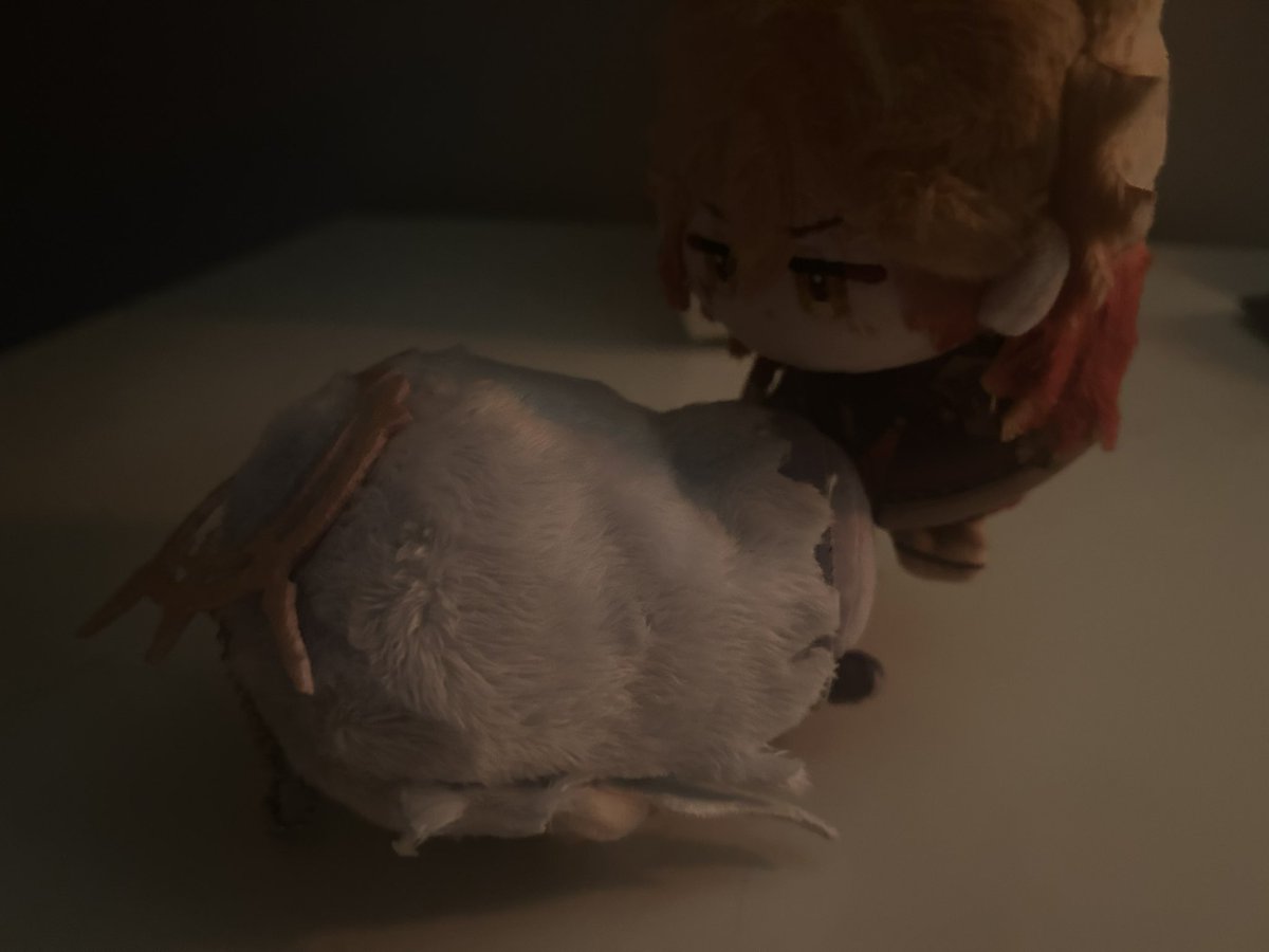 volkovchan's tweet image. mydei labubu is home… #sundei