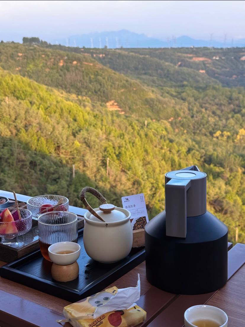 luchogonzalz's tweet image. Secret garden detour: rusted bike, mountain tea, and a valley view that slows time. 🍃🍵🚲 #slowliving #valleyviews #WeekendVibes