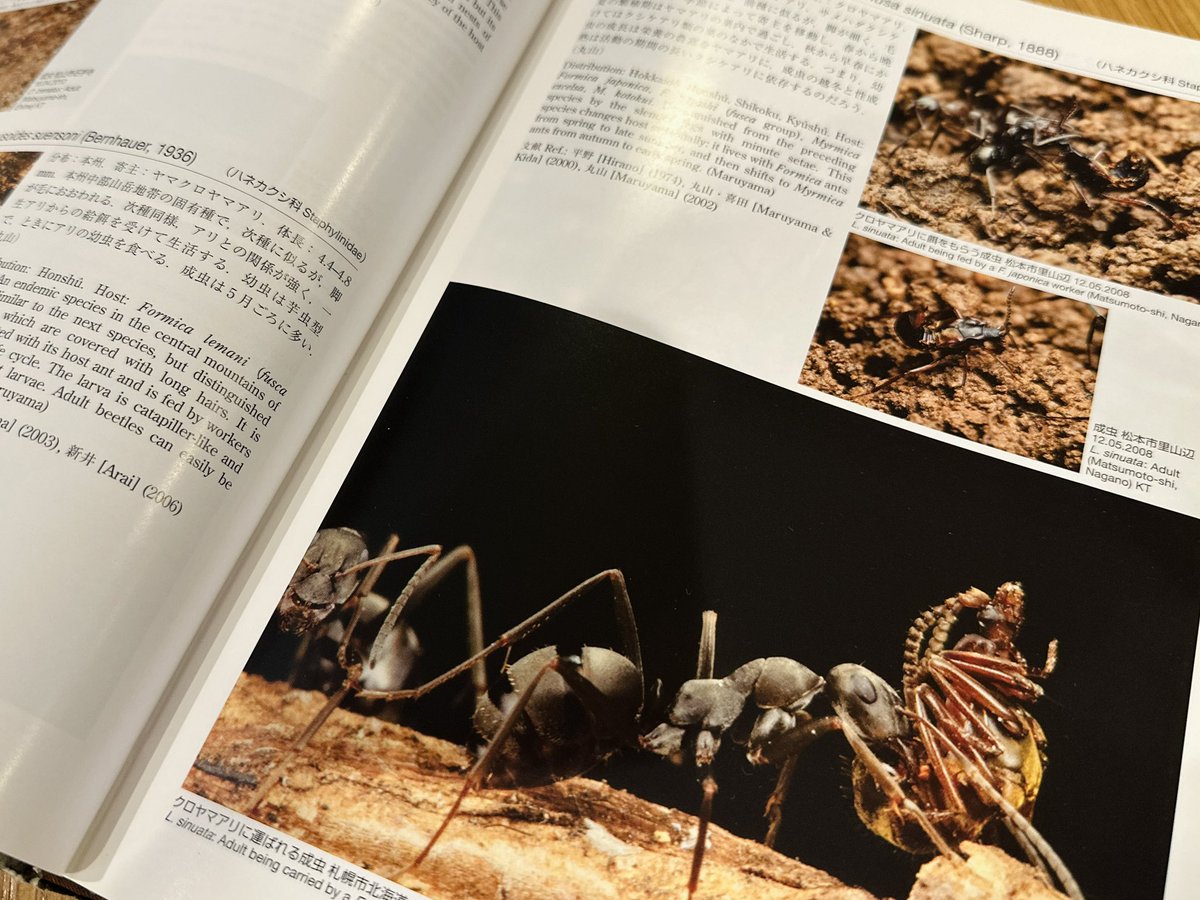 好蟻性生物を見つけて調べる時、まず見るのが2013年出版の「アリの巣の