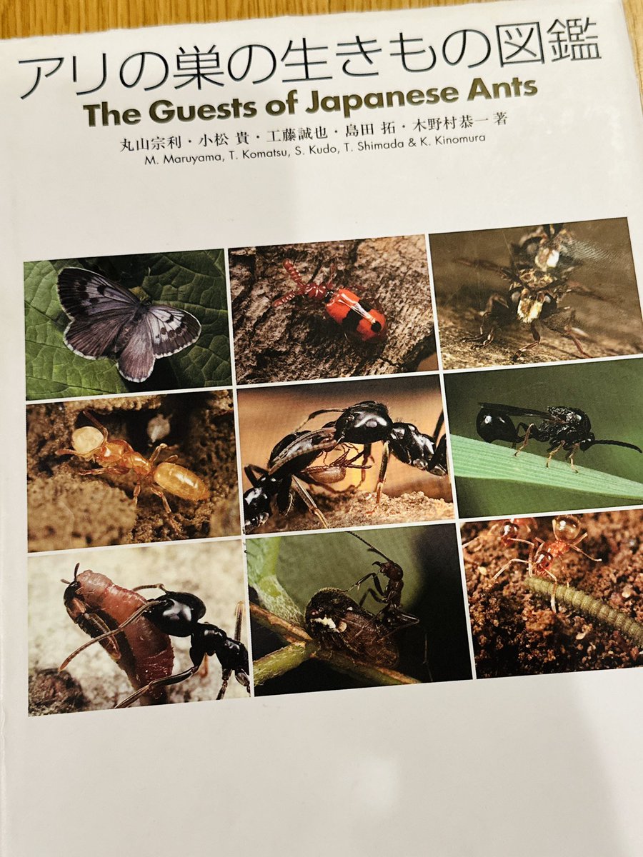 好蟻性生物を見つけて調べる時、まず見るのが2013年出版の「アリの巣の