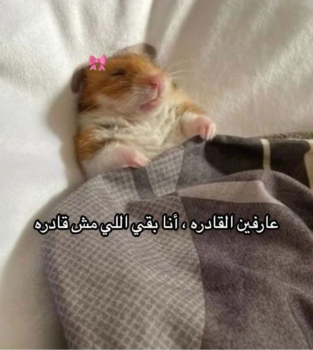 ema (@iemyayman) on Twitter photo 