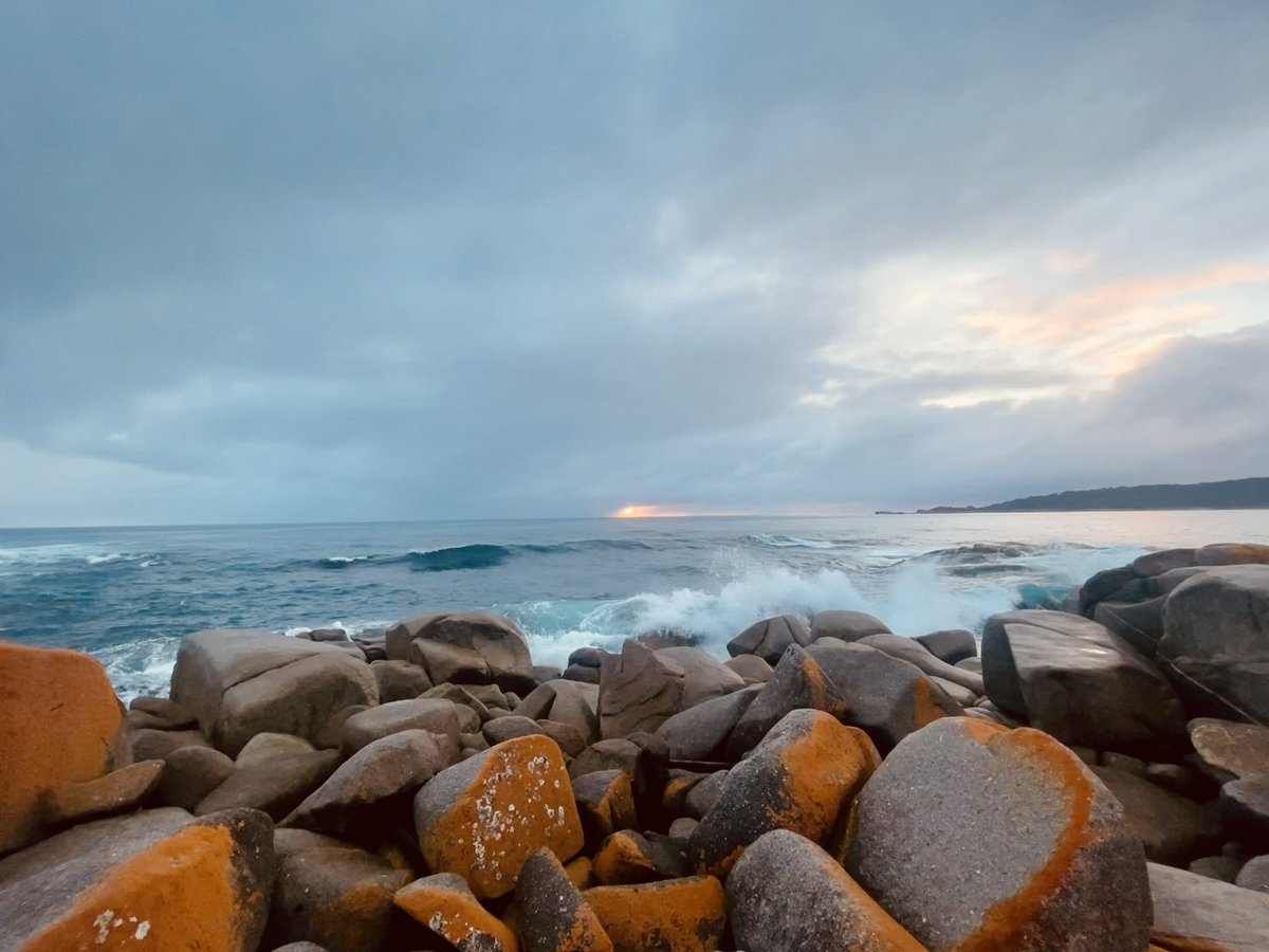 RocketClare🚀 tweet media