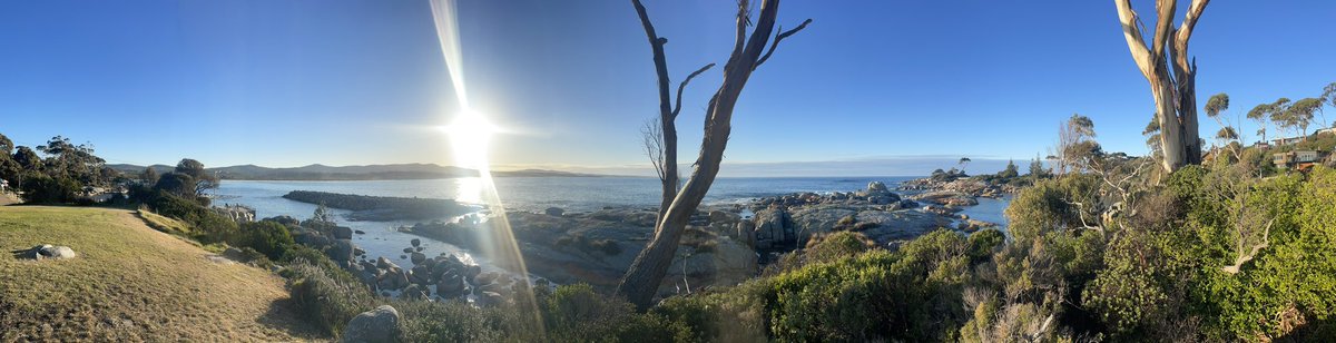 RocketClare🚀 tweet media