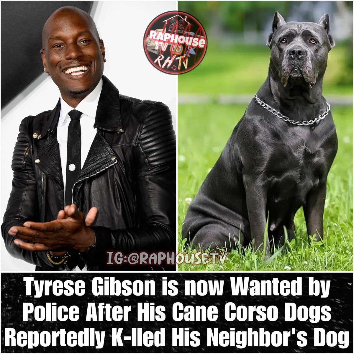 Tyrese Gibson is now Wanted by Police After His Cane Corso Dogs Reportedly Killed His Neighbor's Dog.