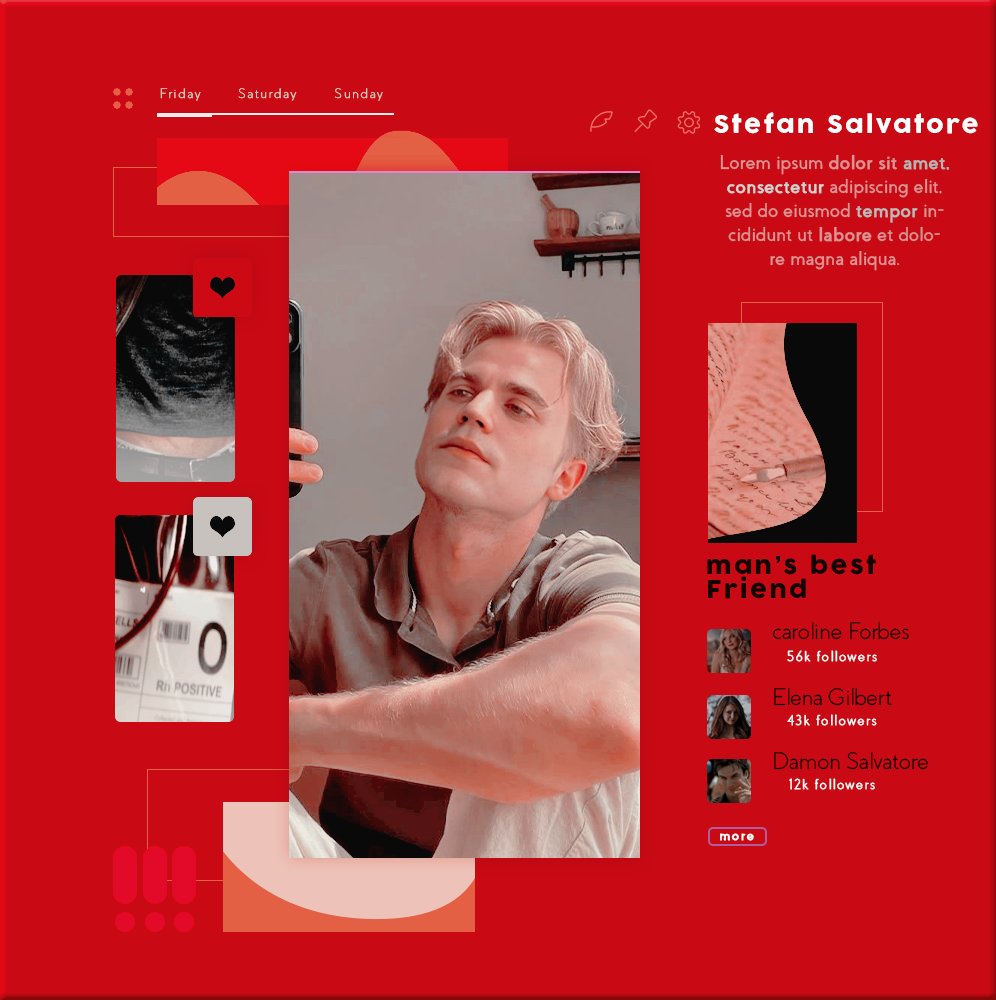 ᅠ ᅠ𝚂𝚃𝙴𝙵𝙰𝙽 tweet media