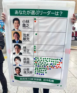 国民投票ならこうなるってこと。
