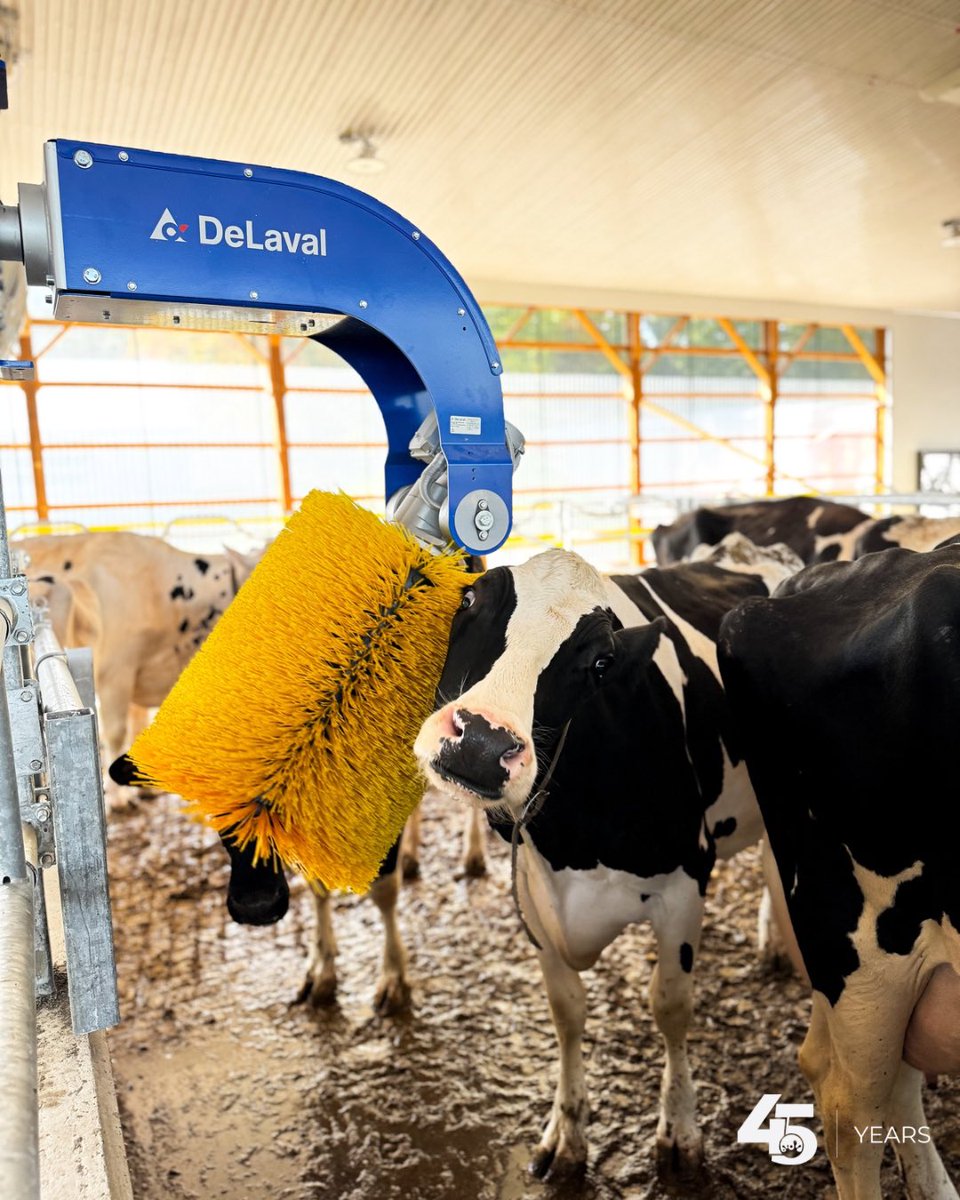 What an amazing fall day! 🍂
Today, the Morton Family at Velan Farms by Peterborough officially moved their herd into a brand-new facility.

This build features:

✔️Guided flow traffic
✔️Cosnet stabling
✔️ <a href="/Promat_Inc/">Promat Inc.</a> pasture mats
✔️ Skov-Secco ventilation
✔️ <a href="/DeLaval/">DeLaval</a> swinging